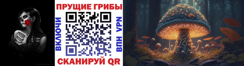 Псилоцибиновые грибы ЛСД  Беломорск 